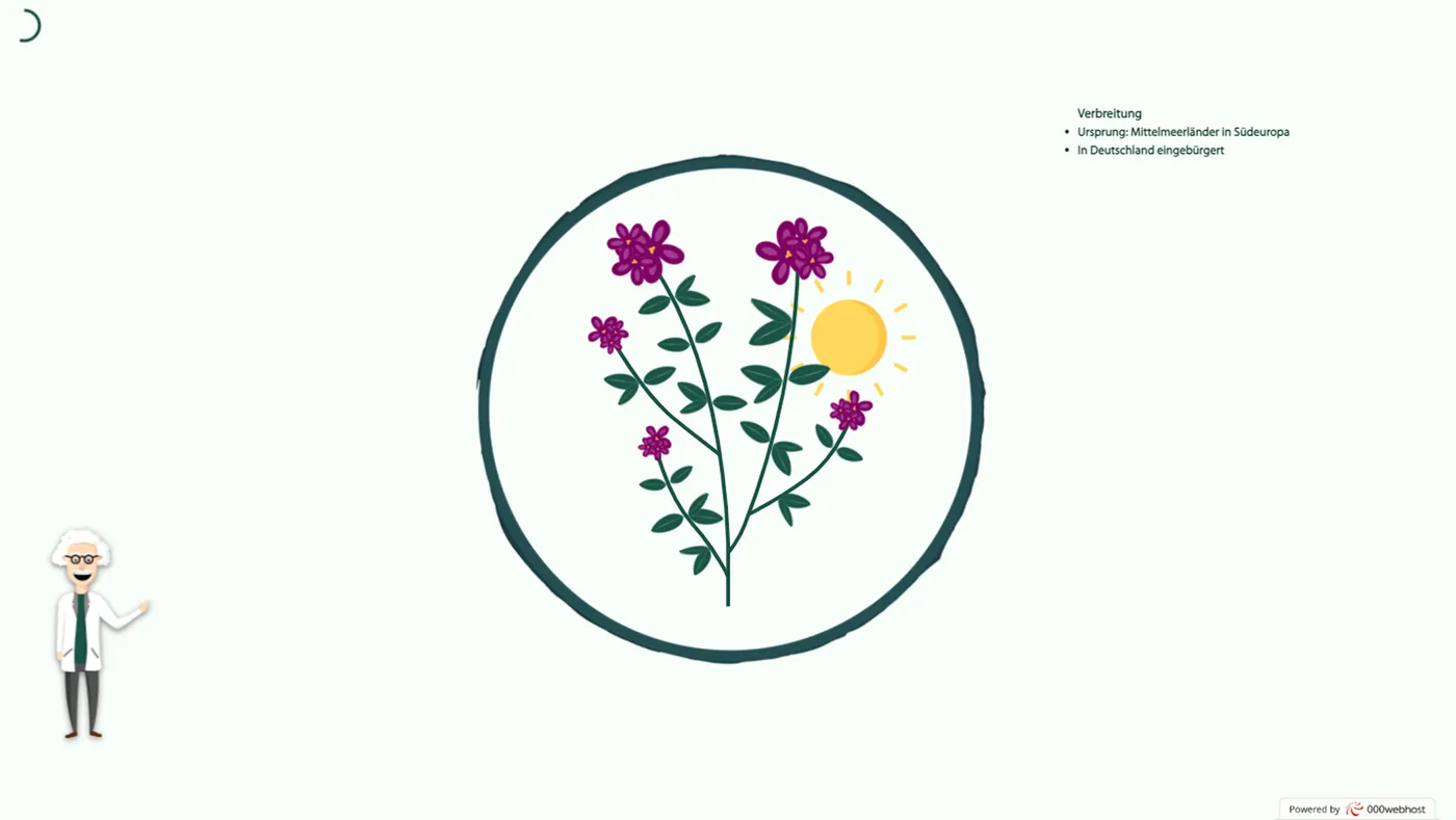 Digitaler botanischer Garten – Bild 4